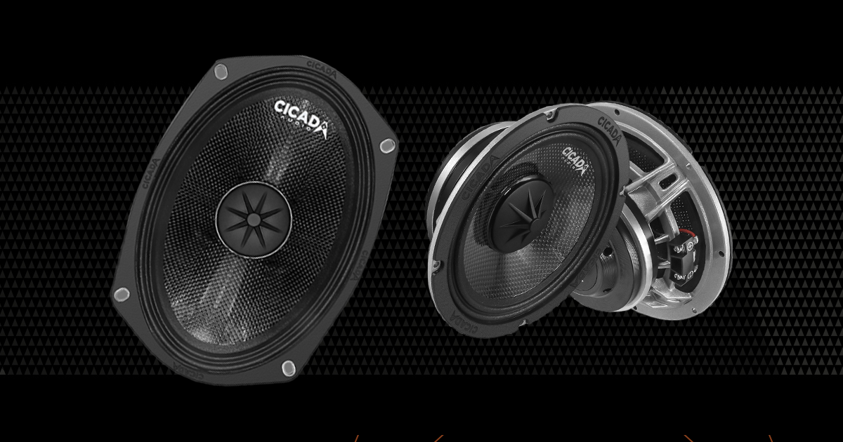 Cicada Motorcycle Audio