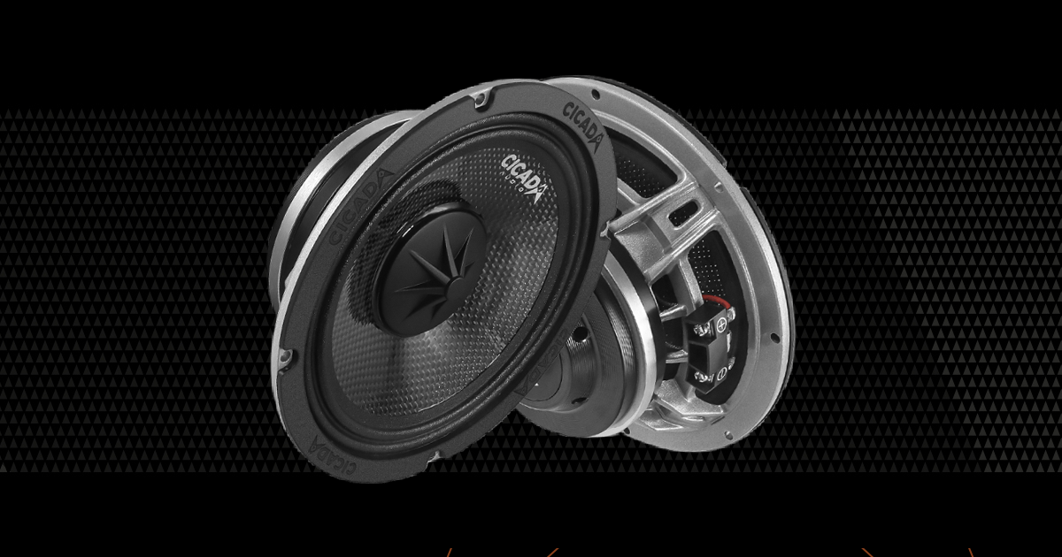 Harley with Cicada Speakers