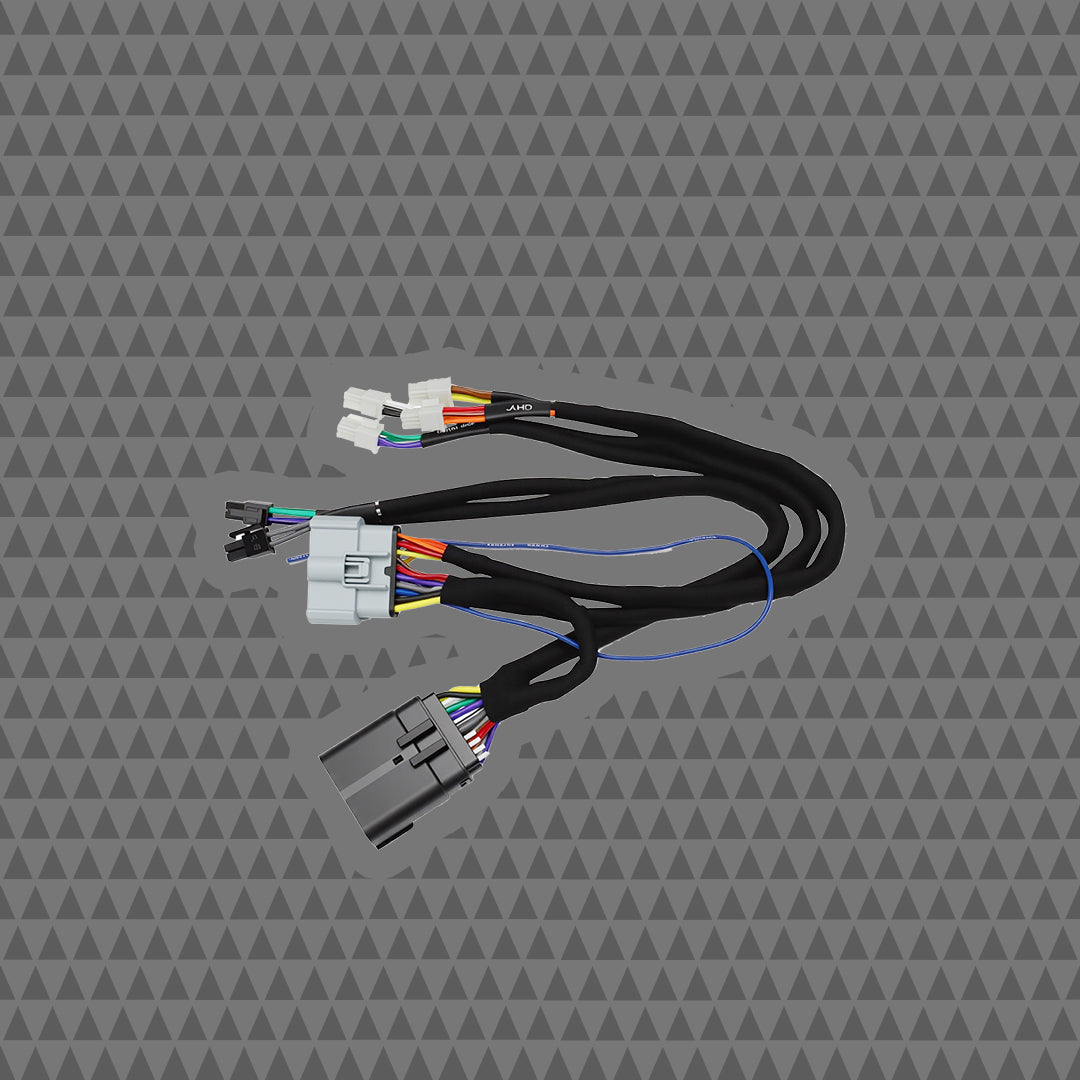 NAV-TV 2024 + H-D® A2B HARNESS FOR CICADA AUDIO® AMPLIFIERS