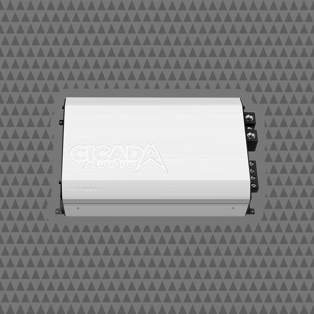5000W x 1 MONO CLASS D AMPLIFIER - 2 OHM