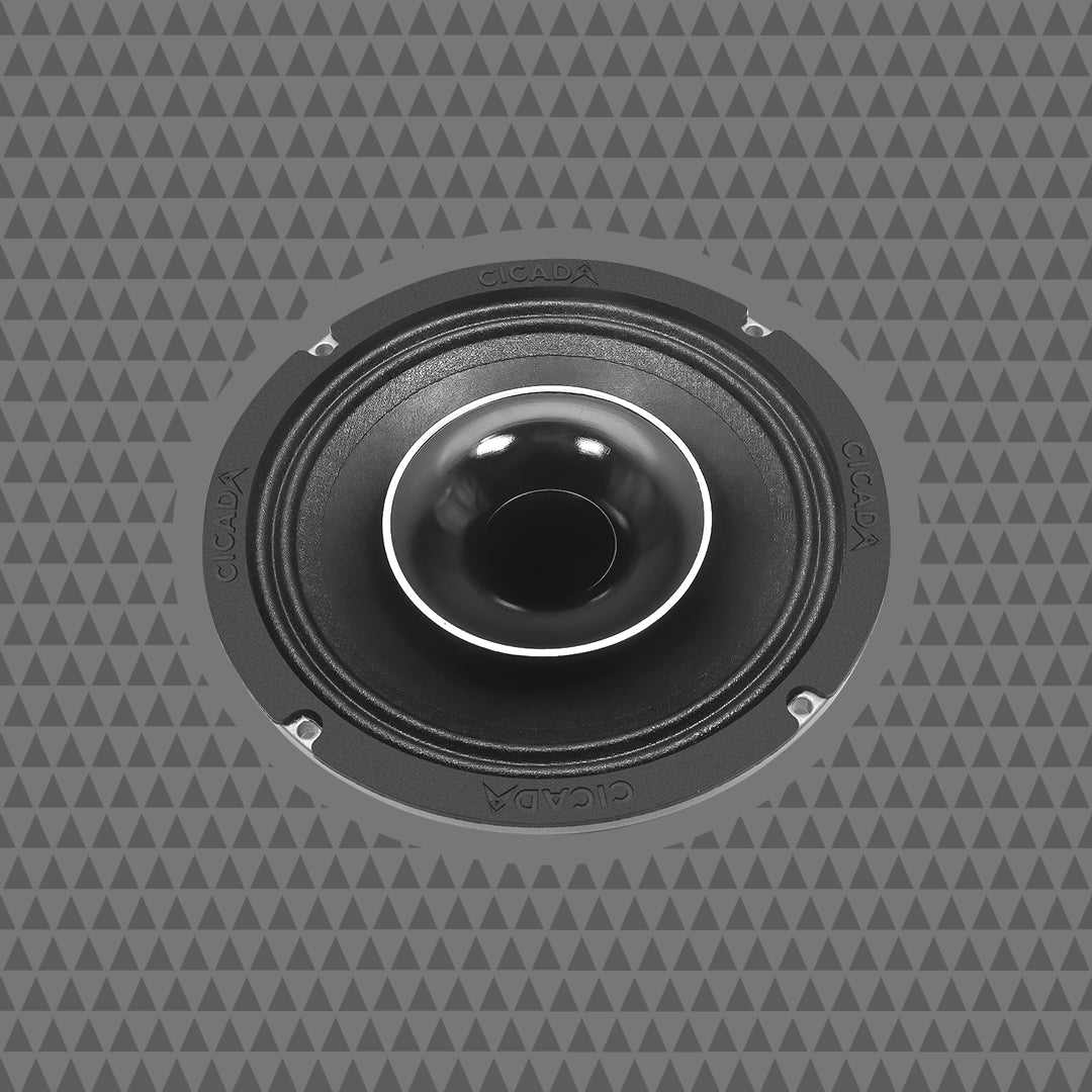 6.5-INCH COAXIAL HORN SPEAKERS - 2Ω - PAIR (DISCONTINUED)