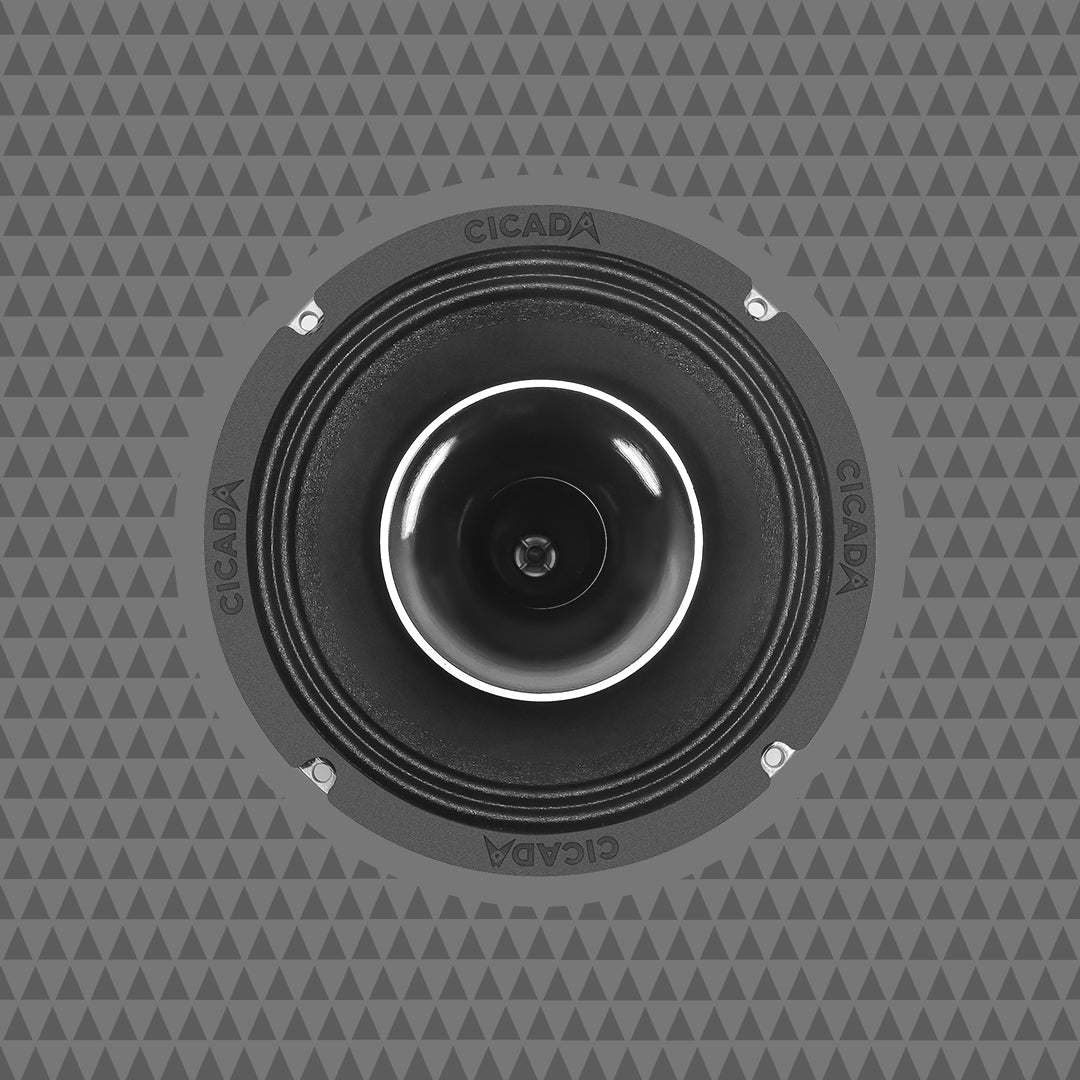 6.5-INCH COAXIAL HORN SPEAKERS - 4Ω - PAIR (DISCONTINUED)