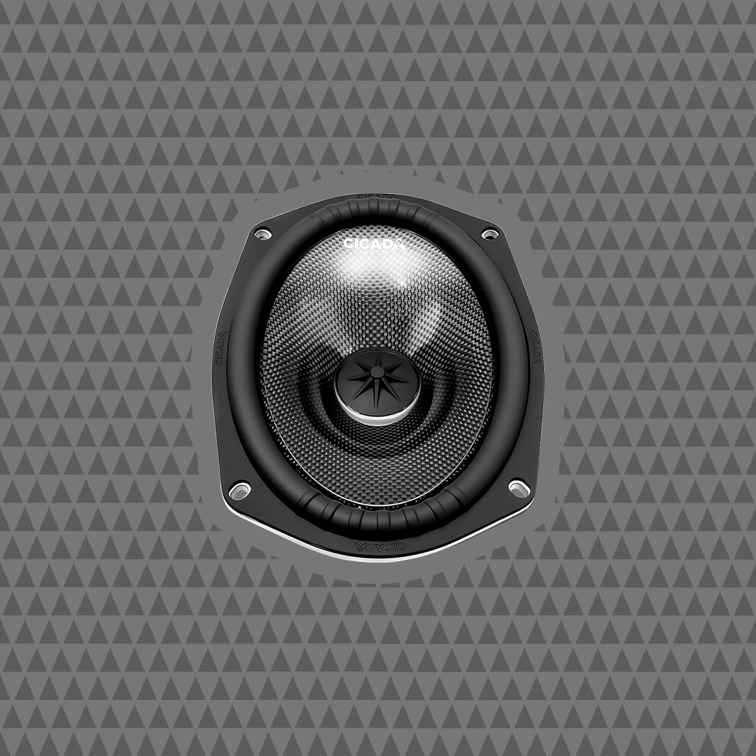 6 X 9-inch Pro Mid-Bass - 2Ω - PAIR