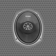 6x9-INCH PERFPORMANCE COAXIAL SPEAKERS - 2Ω - PAIR
