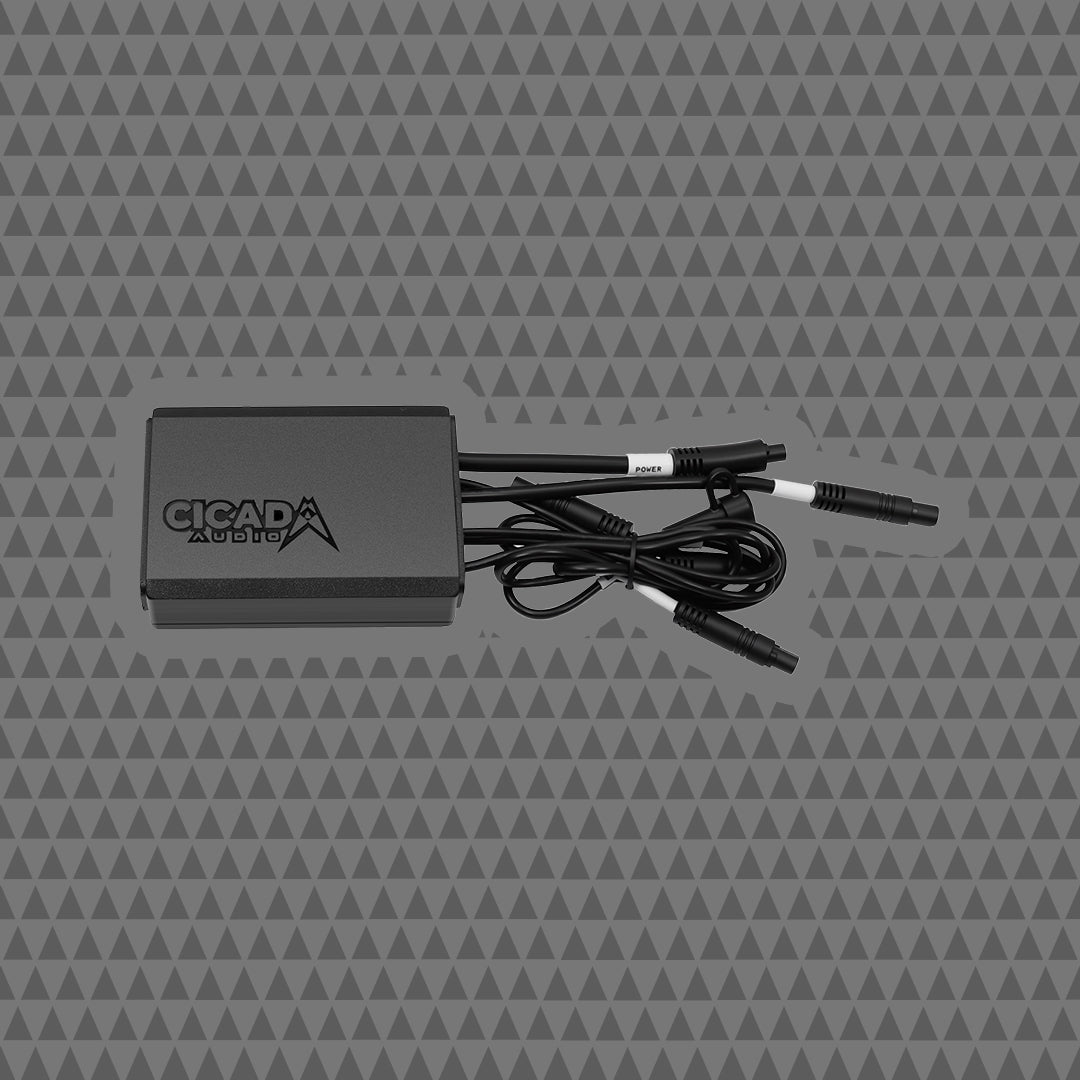 12 CHANNEL DIGITAL SIGNAL PROCESSOR