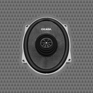 5X7-INCH PRO COAXIAL SPEAKERS - 2Ω