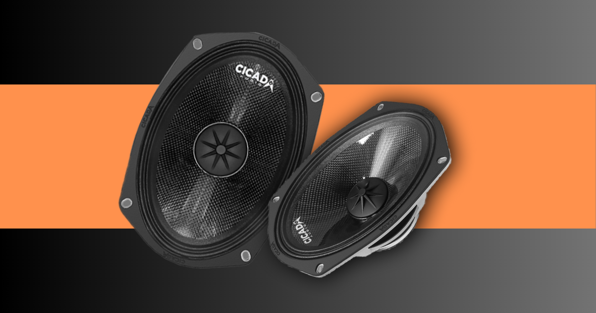 Cicada Motorcycle Audio