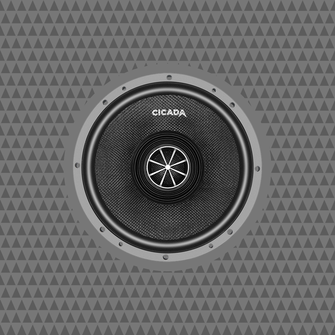 8-INCH PRO COAXIAL SPEAKERS - 2Ω